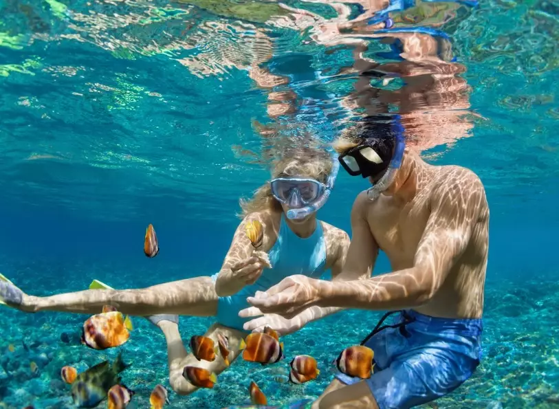 how much is a snorkel