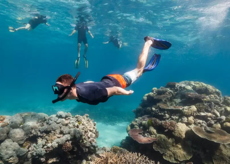 best snorkel for beginners