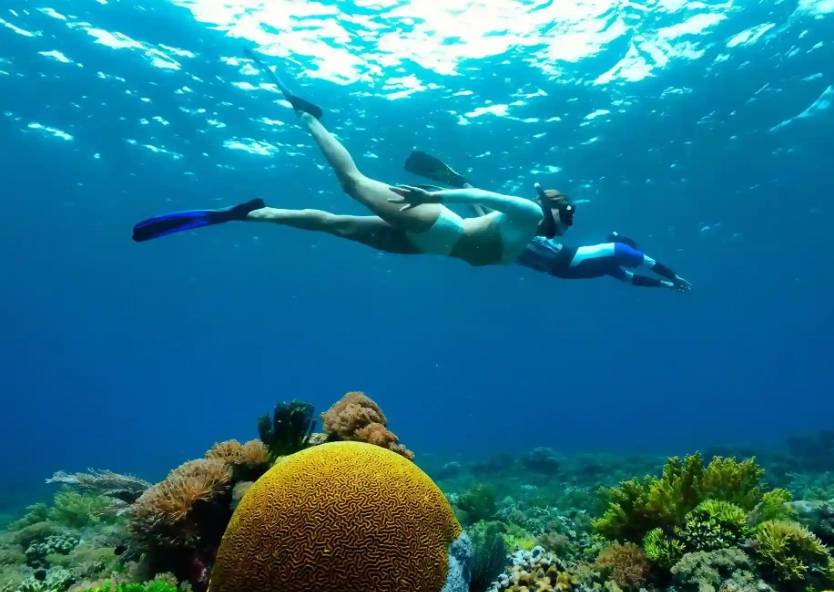 how much is a snorkel