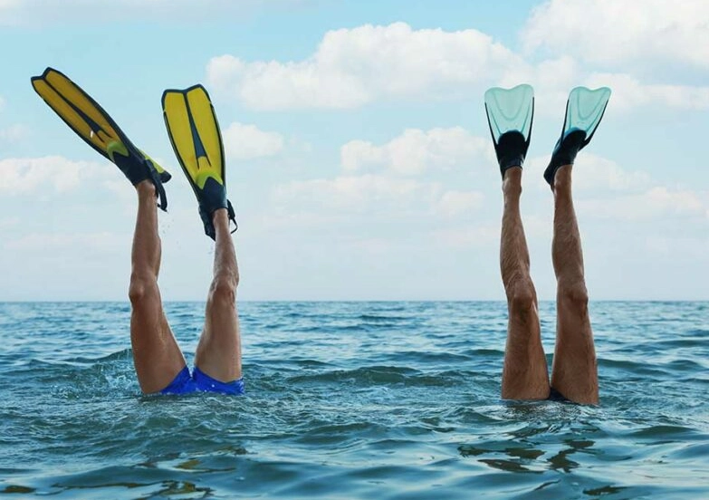 snorkeling fins comparison