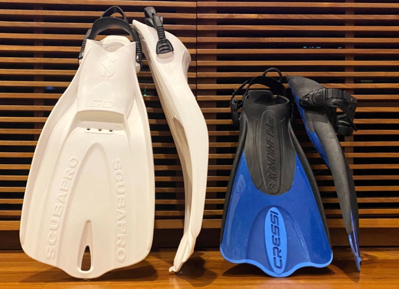 best snorkeling fins