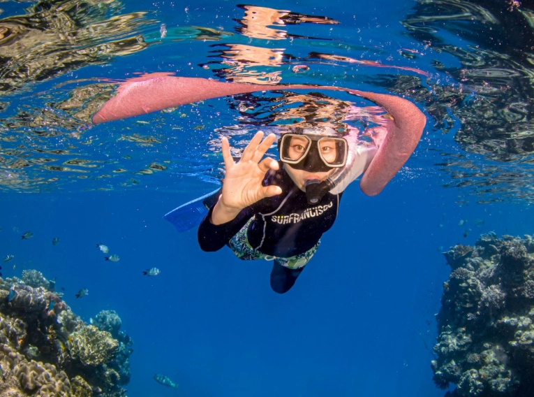 snorkel price
