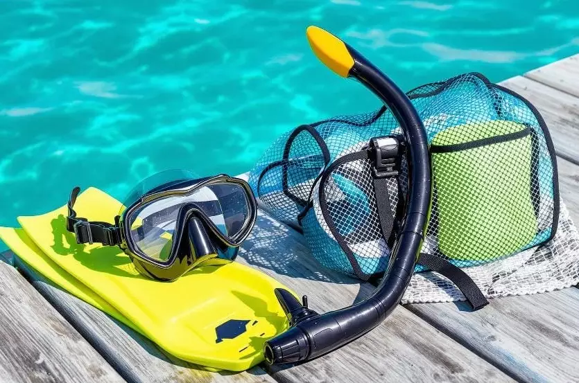 snorkeling equipment for beginners